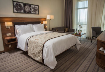 Otel Premier Airport 4*